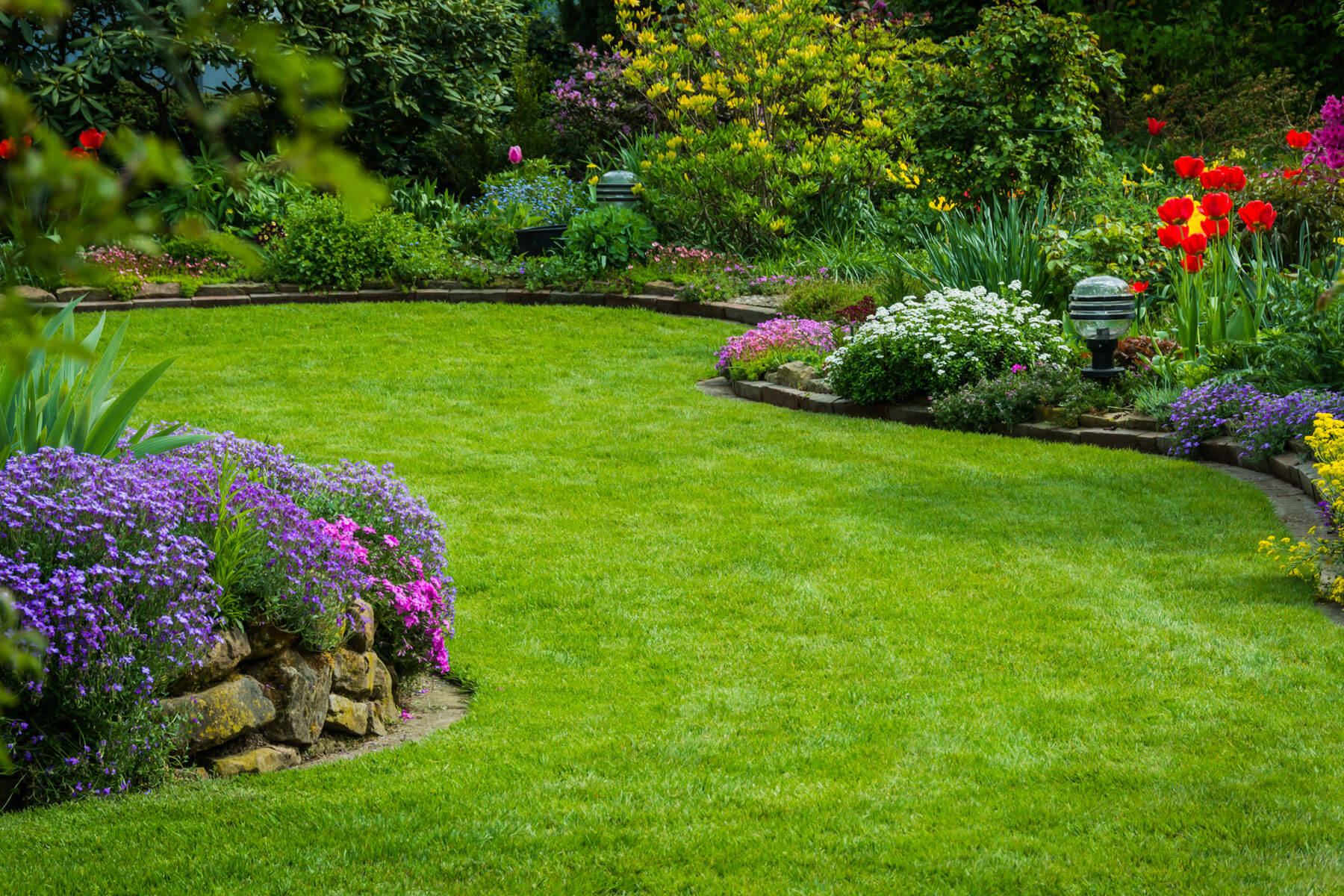 Enchanting Green Spaces: Expert Garden Plant Design